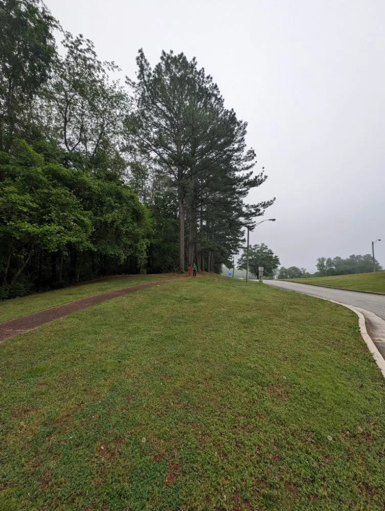 Reliable landscape design in Paducah, KY - Green Haven