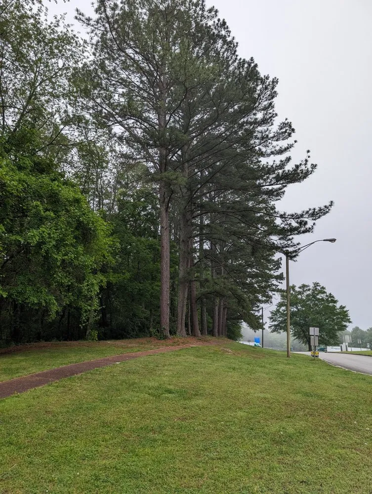 Expert lawn care service in Paducah, KY by Green Haven