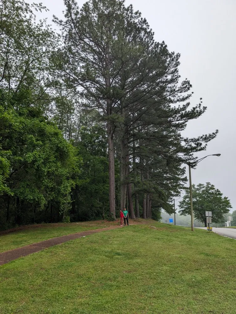 Expert yard cleanup service for beautiful yards in Paducah, KY by Green Haven