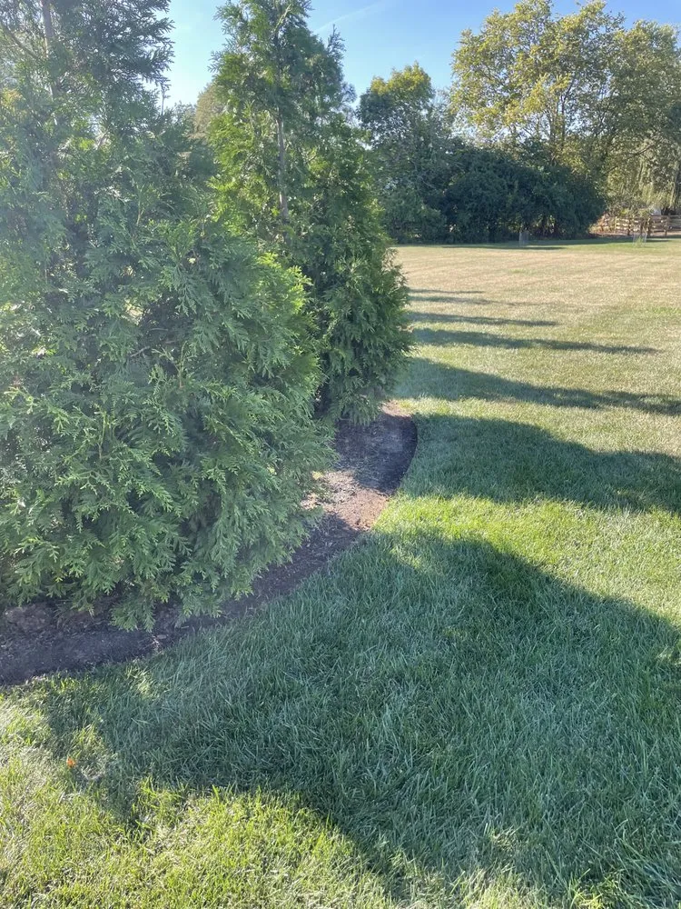 Custom yard cleanup service experts serving Bowling Green, OH - Green Havens Home Service