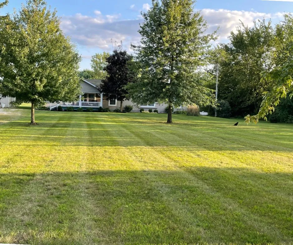 Top-rated landscaping services for beautiful yards in Bowling Green, OH by Green Havens Home Service