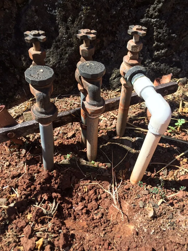 Expert yard cleanup service for outdoor upgrades across Waimanalo, HI - Green Hawaii Landscaping and Sprinkler