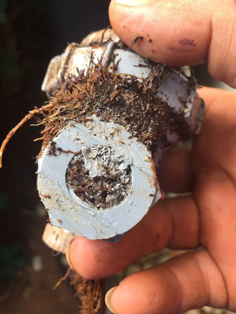 Affordable garden landscaping in Waimanalo, HI - Green Hawaii Landscaping and Sprinkler