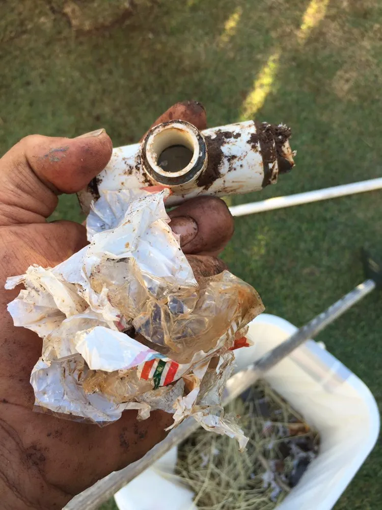 Local landscaping services for beautiful yards across Waimanalo, HI - Green Hawaii Landscaping and Sprinkler