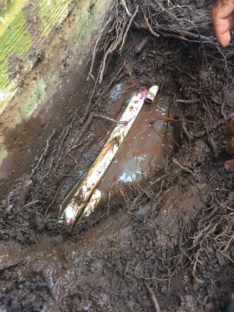 Affordable landscape design for residential properties in Waimanalo, HI by Green Hawaii Landscaping and Sprinkler