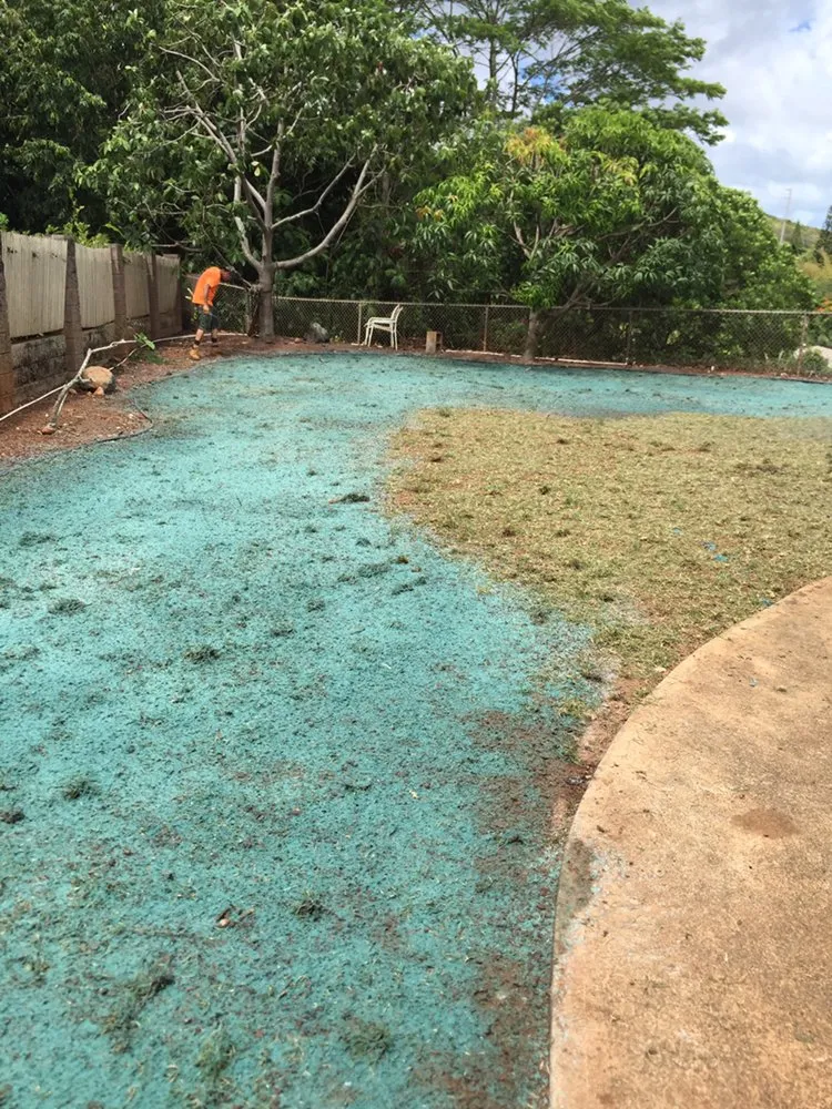 Expert lawn mowing service near you in Waimanalo, HI by Green Hawaii Landscaping and Sprinkler