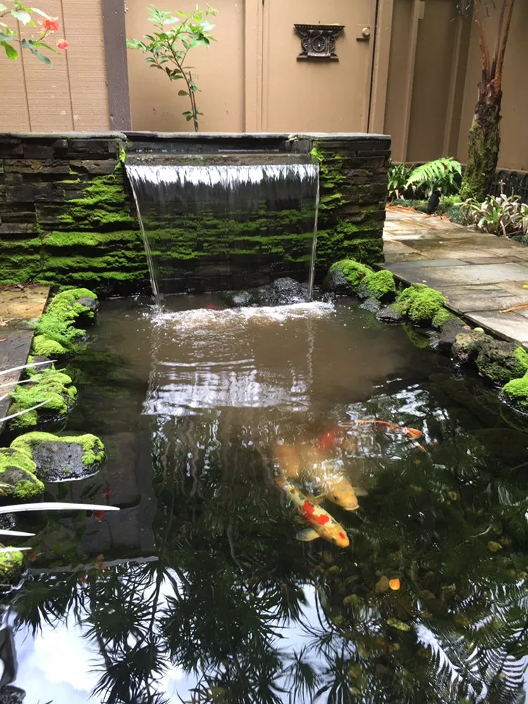 Top-rated landscaping services for homes across Waimanalo, HI - Green Hawaii Landscaping and Sprinkler