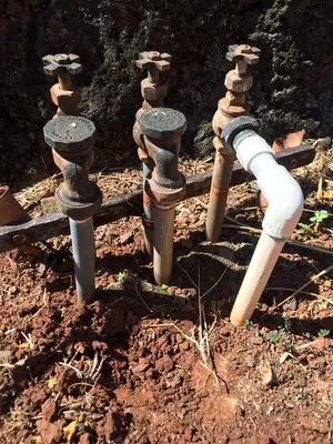 Green Hawaii Landscaping and Sprinkler