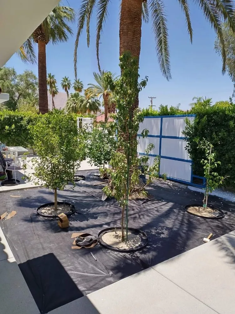 Custom lawn mowing service experts serving Desert Hot Springs, CA - Green Hd