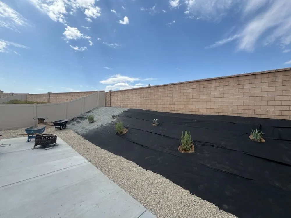 Trusted lawn care service for homes in Desert Hot Springs, CA by Green Hd