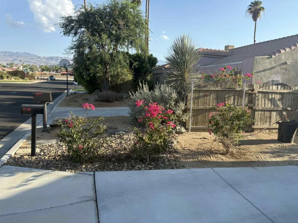 Affordable residential landscaping in Desert Hot Springs, CA by Green Hd