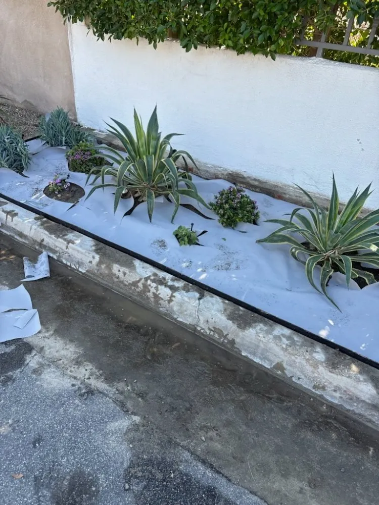 Affordable garden landscaping for outdoor upgrades in Desert Hot Springs, CA by Green Hd