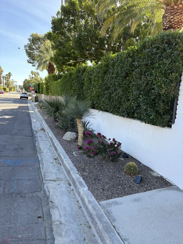 Local landscaping services experts serving Desert Hot Springs, CA - Green Hd