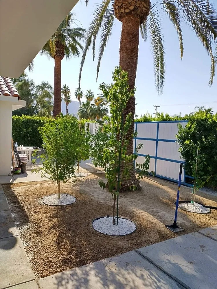 Local landscaping services experts serving Desert Hot Springs, CA - Green Hd