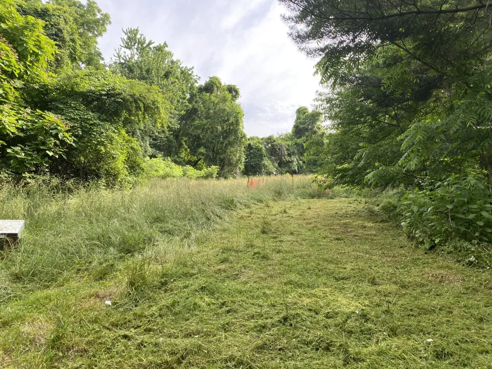 Local residential landscaping in Baltimore, MD - Green Heaven For Lawn Care