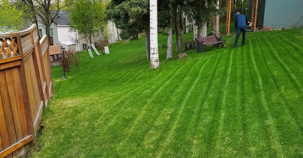 Top-rated lawn care service near you in Anchorage, AK by Green Helper AK