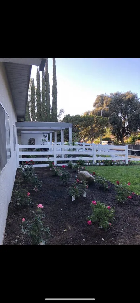 Professional yard cleanup service for homes in Van Nuys, CA by Green Heritage Landscaping