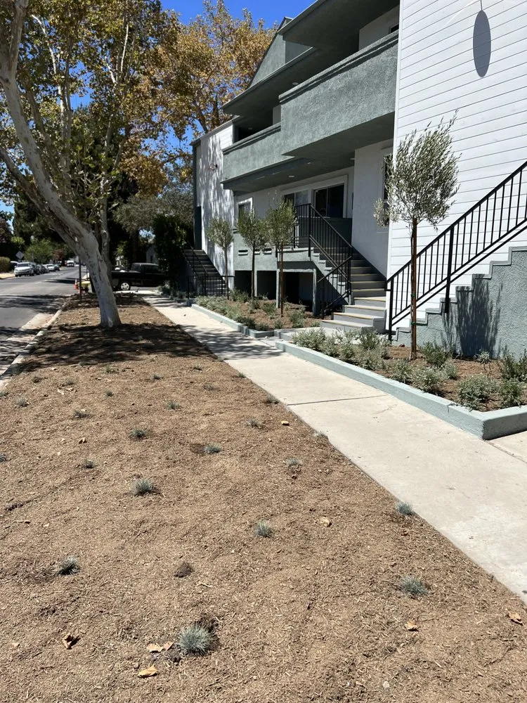 Expert yard cleanup service in Van Nuys, CA by Green Heritage Landscaping