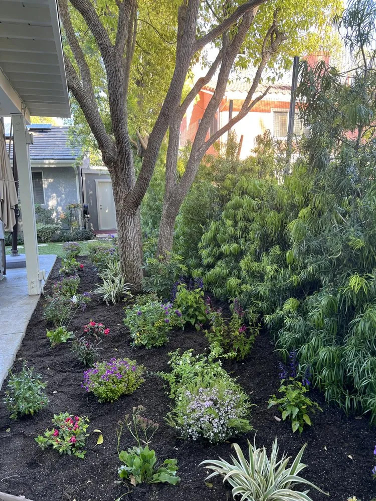 Expert yard cleanup service with custom design in Van Nuys, CA by Green Heritage Landscaping
