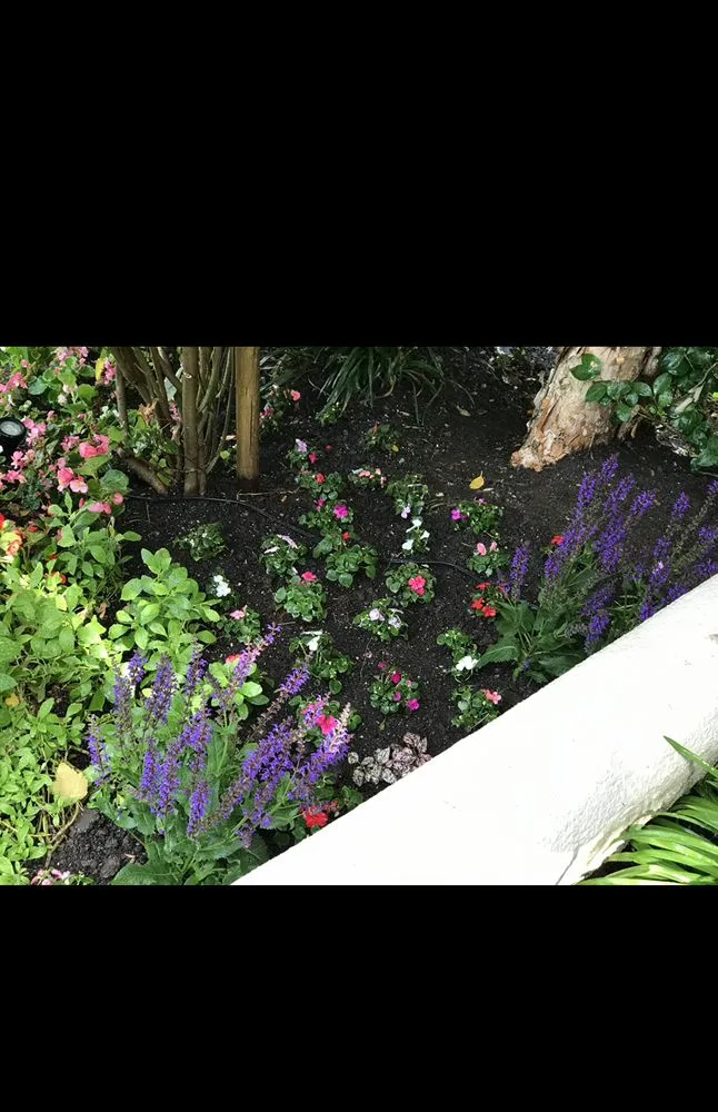 Trusted lawn care service in Van Nuys, CA - Green Heritage Landscaping