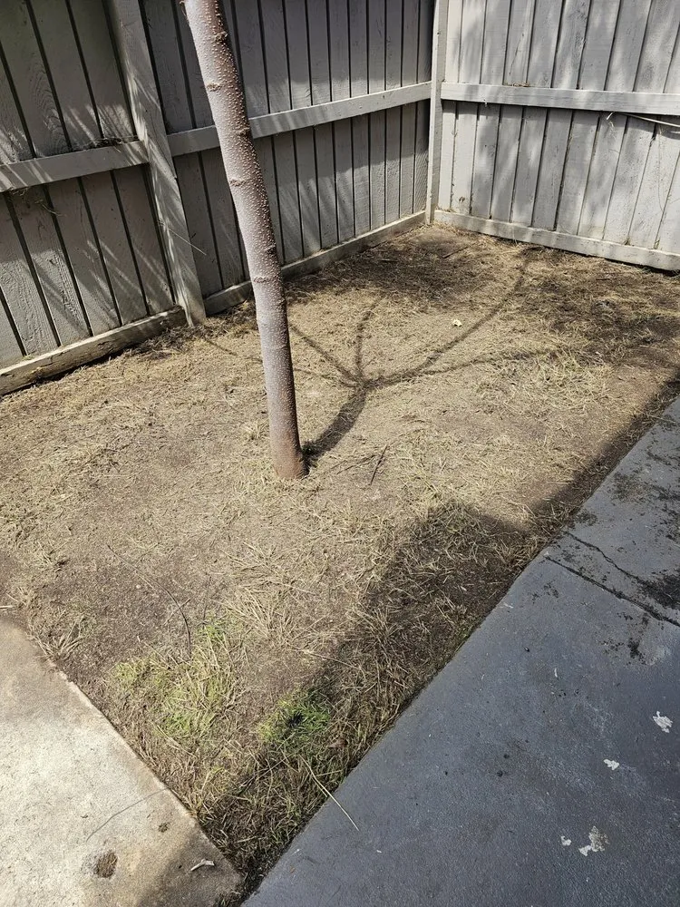 Custom lawn mowing service for residential properties in Santa Ana, CA by Green Heroes Landscape