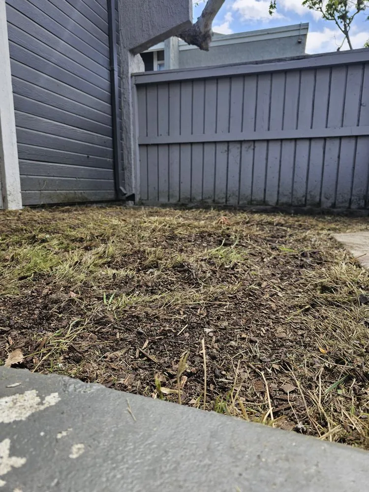 Custom lawn care service for outdoor upgrades in Santa Ana, CA by Green Heroes Landscape