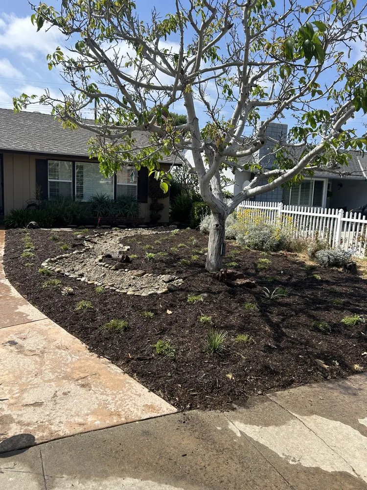 Reliable yard maintenance for outdoor upgrades in Santa Ana, CA by Green Heroes Landscape