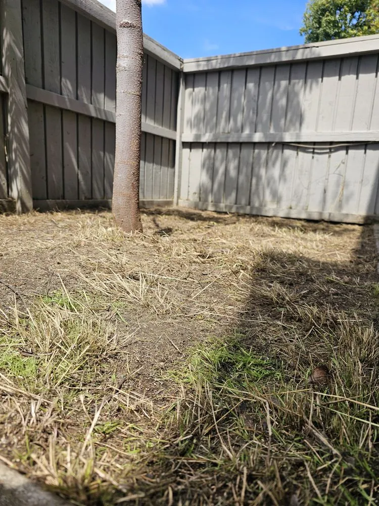 Custom landscaping services for residential properties across Santa Ana, CA - Green Heroes Landscape