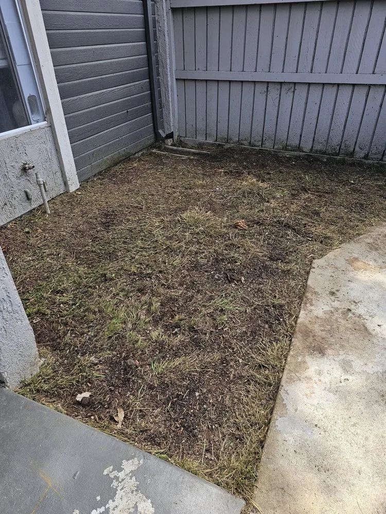 Top-rated garden landscaping in Santa Ana, CA - Green Heroes Landscape