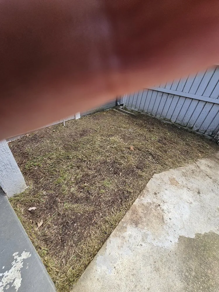 Expert lawn care service in Santa Ana, CA by Green Heroes Landscape