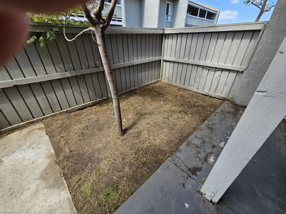 Local garden landscaping for beautiful yards across Santa Ana, CA - Green Heroes Landscape