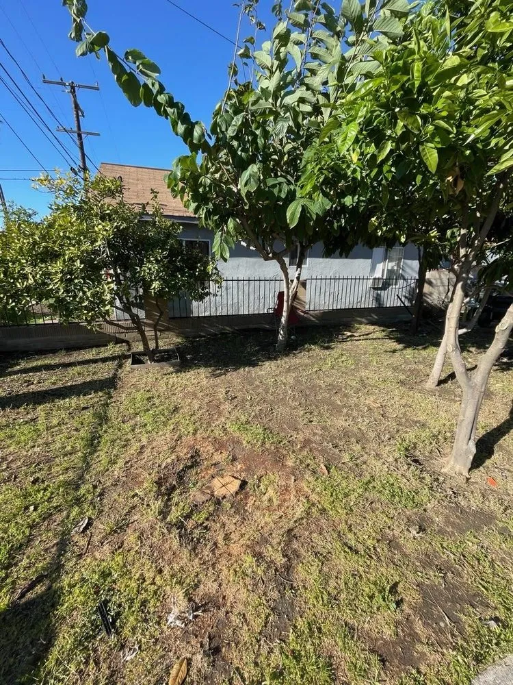 Trusted yard maintenance for homes across Santa Ana, CA - Green Heroes Landscape