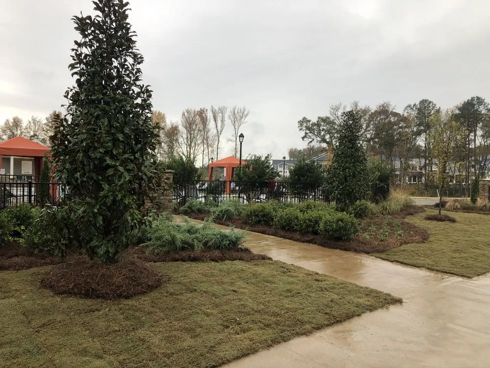 Reliable landscape design experts serving Locust, NC - Green Heron