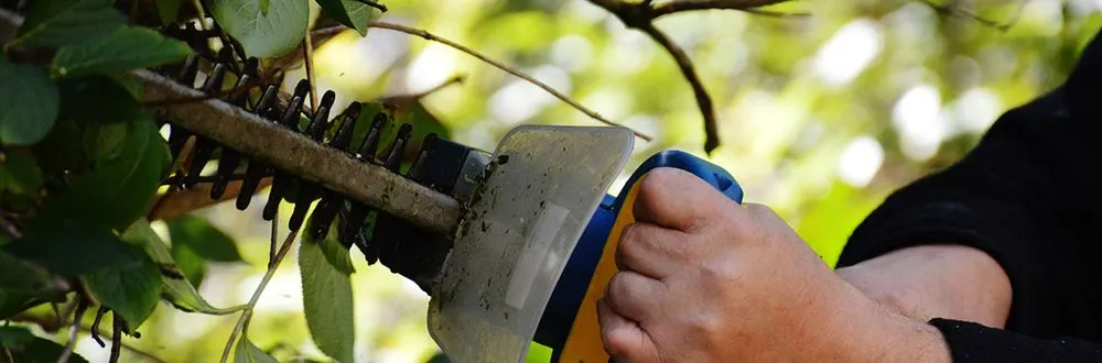 Trusted landscape installation in Arlington, WA - Green Hill Landscaping