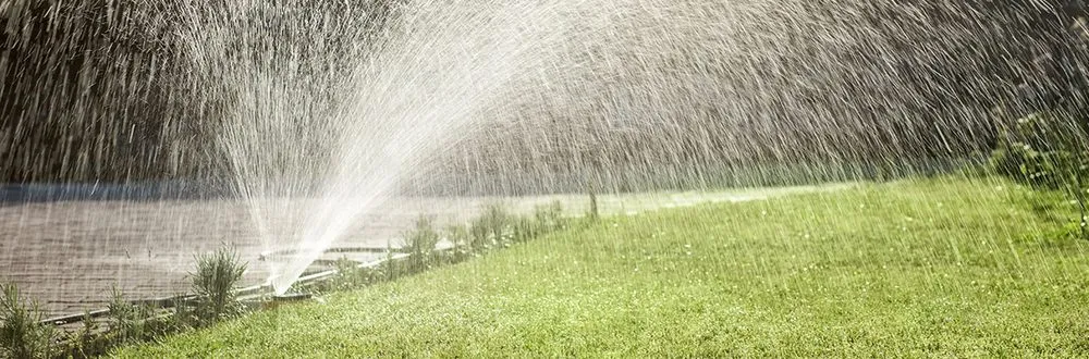 Reliable lawn care service in Arlington, WA by Green Hill Landscaping