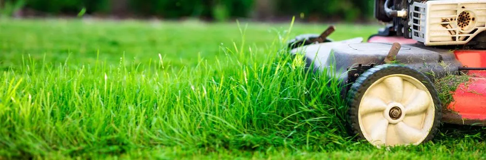 Local landscaping services in Arlington, WA - Green Hill Landscaping