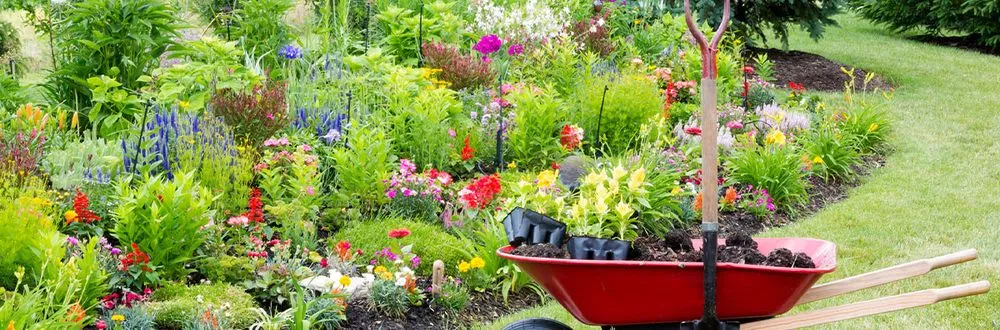 Local lawn care service in Arlington, WA - Green Hill Landscaping