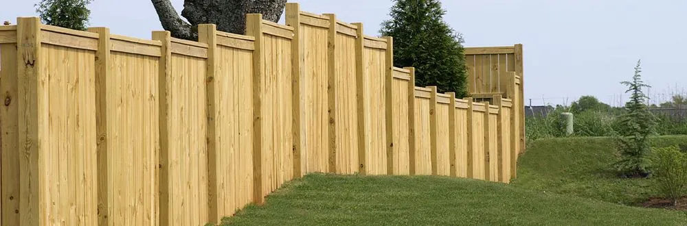 Trusted lawn care service in Arlington, WA by Green Hill Landscaping