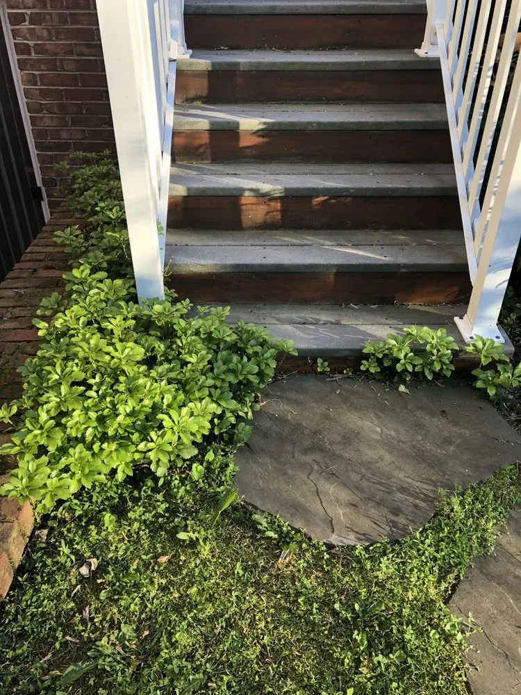 Expert residential landscaping for year-round maintenance across Great Falls, VA - Green Hill Landscaping