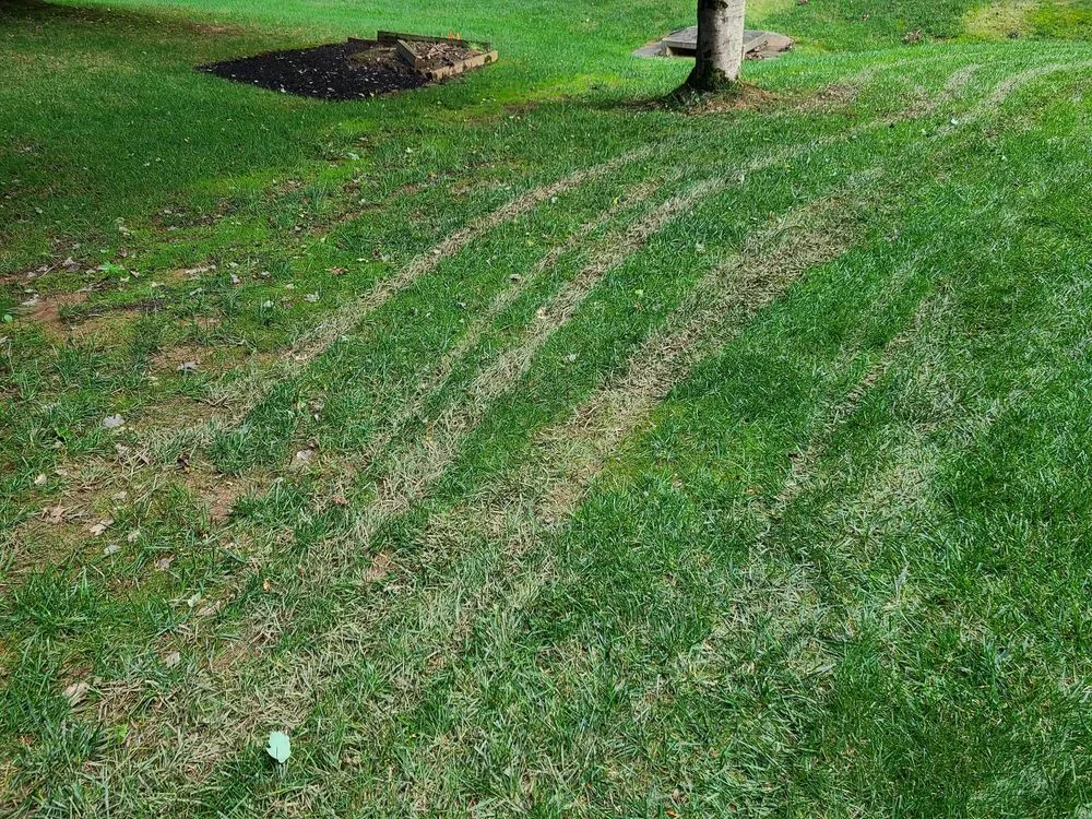 Trusted landscaping services near you across Great Falls, VA - Green Hill Landscaping