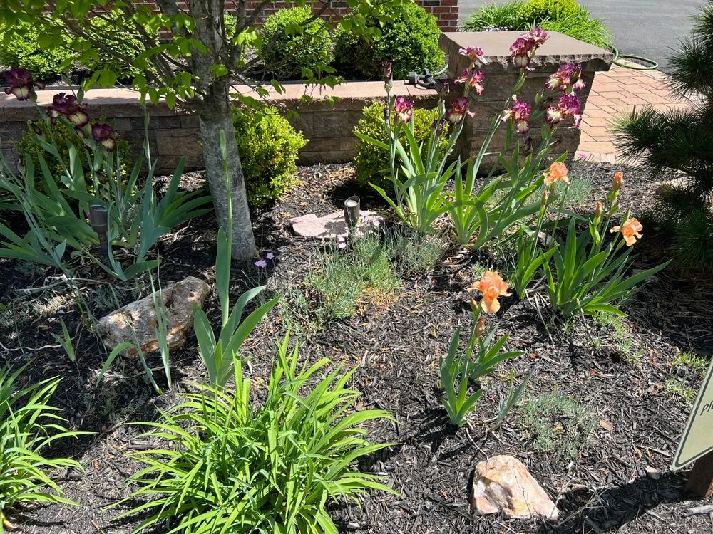 Affordable outdoor landscaping in Great Falls, VA - Green Hill Landscaping