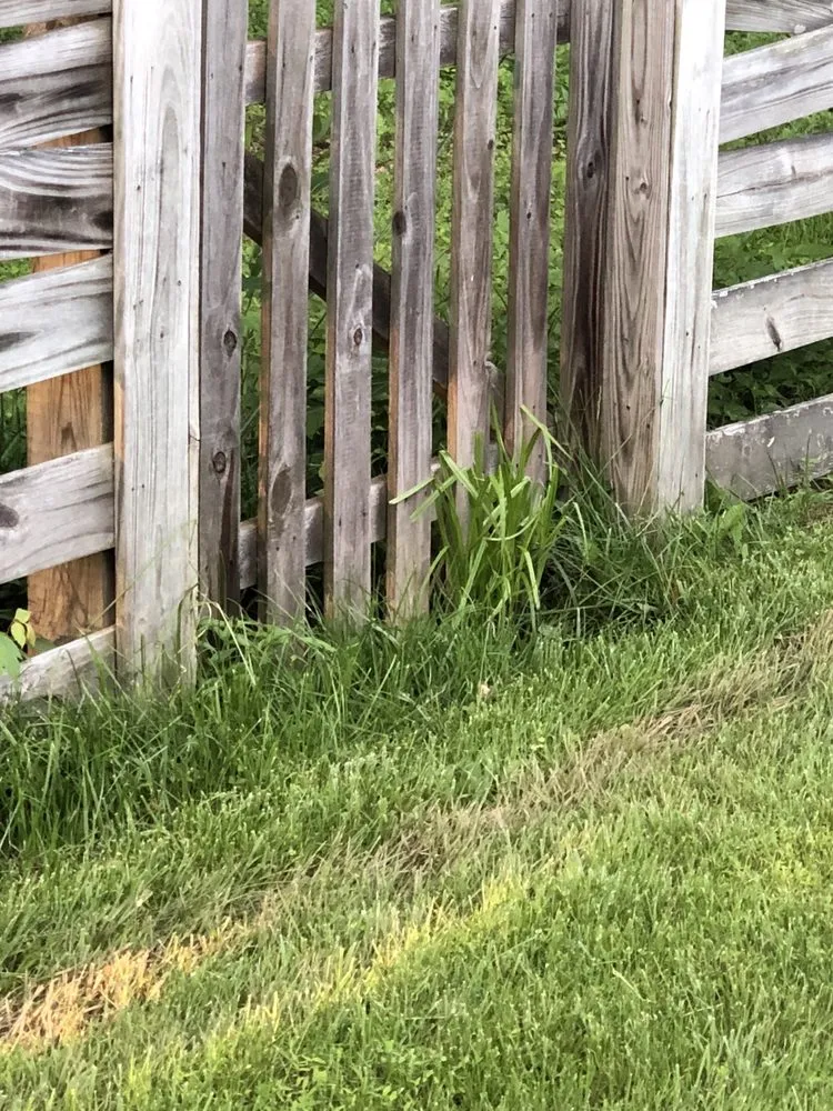 Reliable landscape installation experts serving Great Falls, VA - Green Hill Landscaping