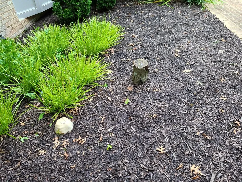 Professional landscape design near you across Great Falls, VA - Green Hill Landscaping