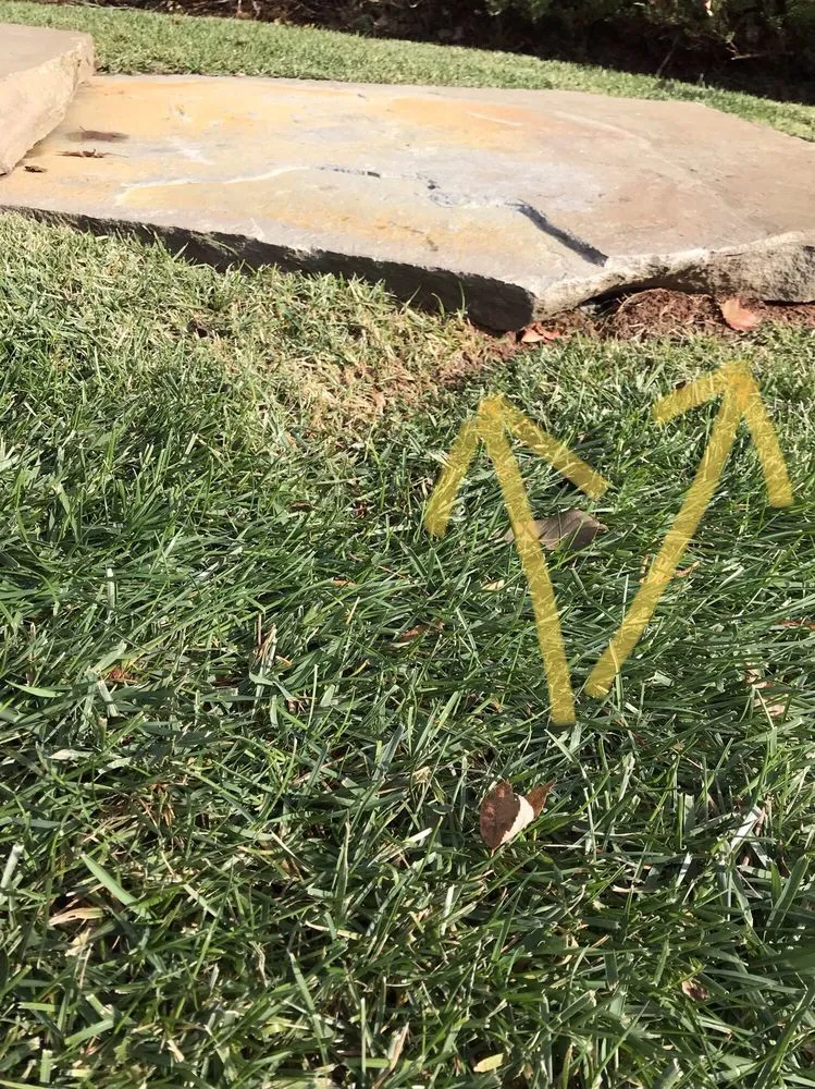 Reliable yard cleanup service in Great Falls, VA by Green Hill Landscaping