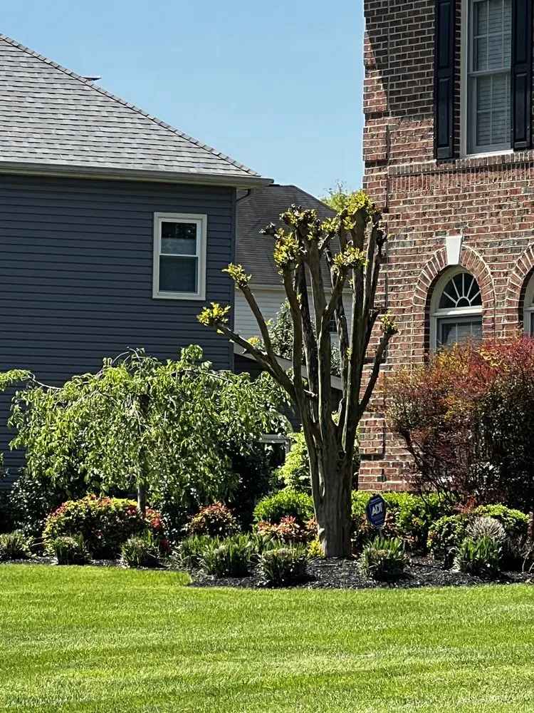 Local lawn care service experts serving Great Falls, VA - Green Hill Landscaping