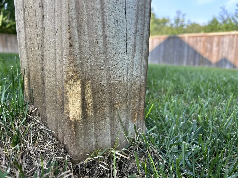 Professional yard cleanup service experts serving Great Falls, VA - Green Hill Landscaping