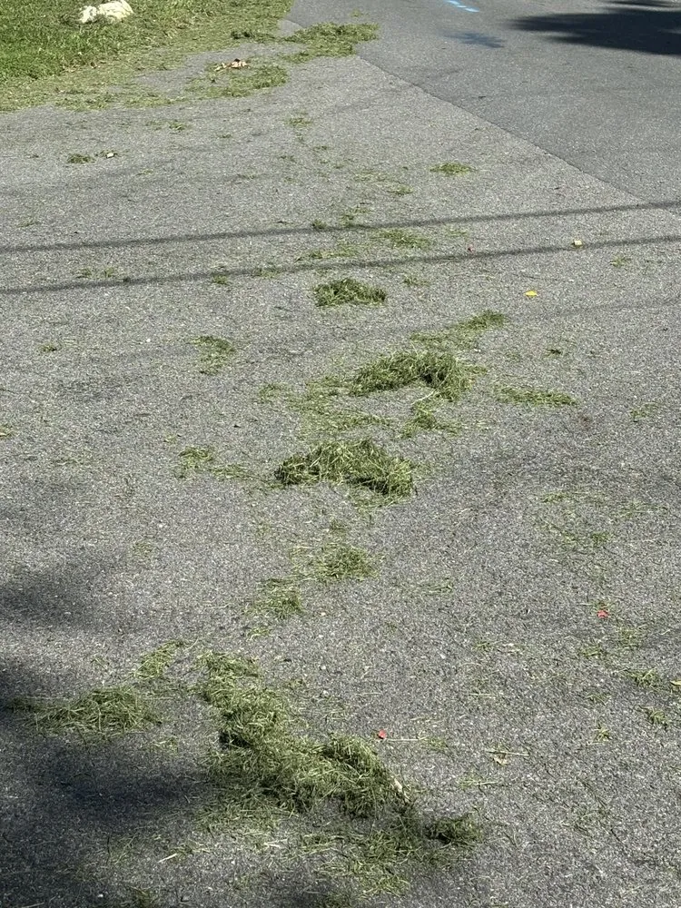 Affordable landscape design in Great Falls, VA by Green Hill Landscaping