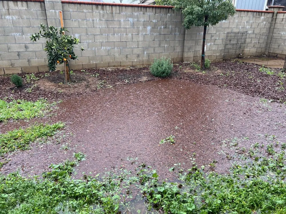 Custom yard maintenance for outdoor upgrades in Ramona, CA by Green Hill Landscaping