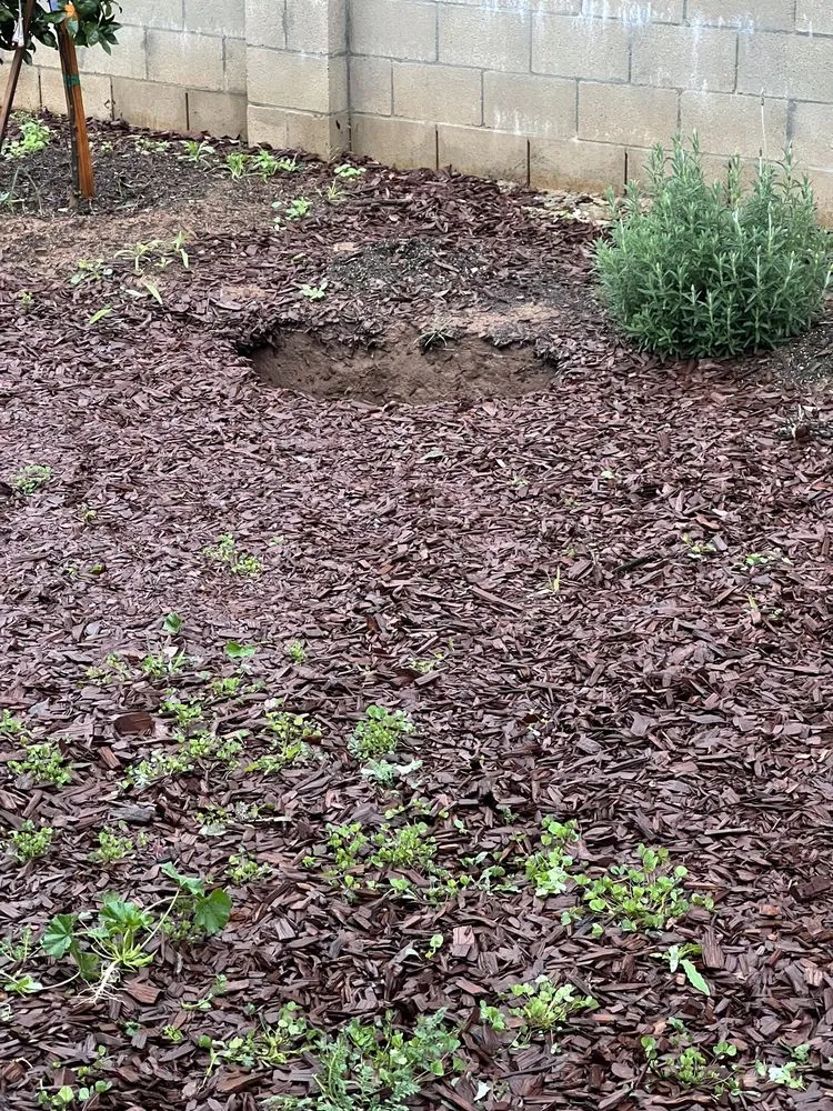 Reliable landscape installation in Ramona, CA by Green Hill Landscaping