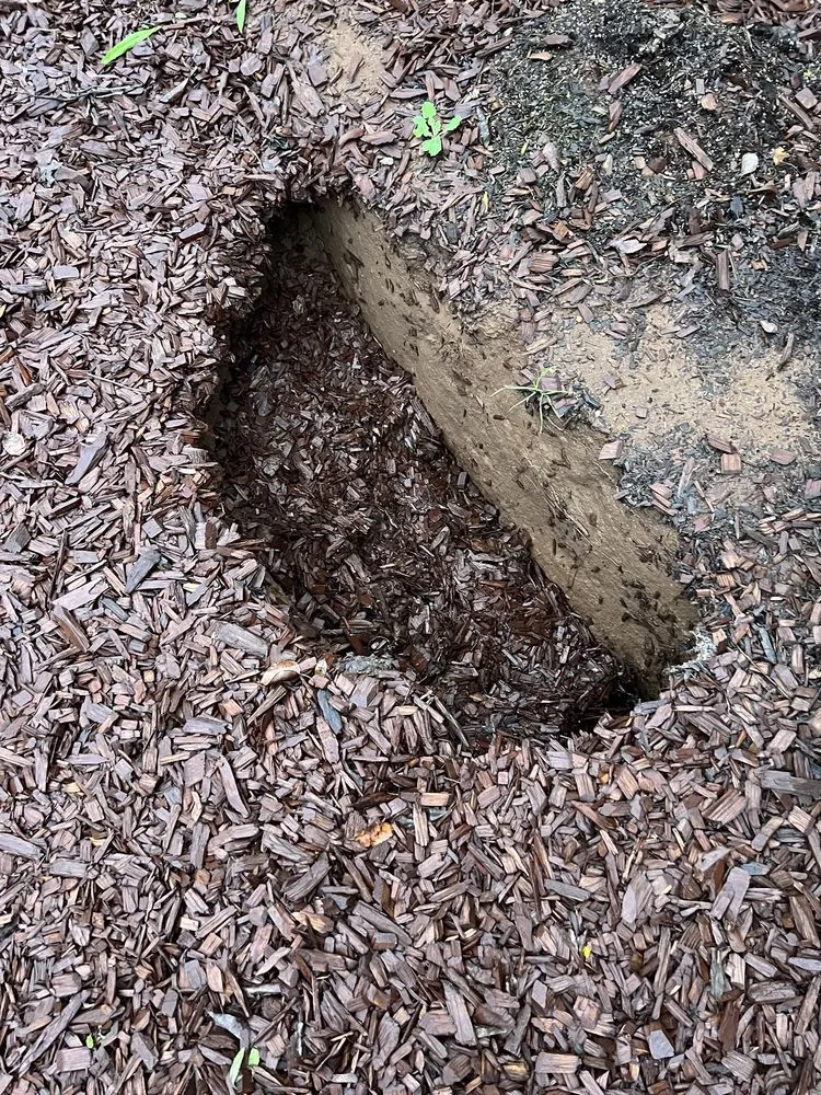 Professional lawn care service in Ramona, CA - Green Hill Landscaping